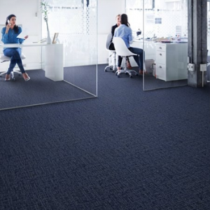 Carpetsinter 02